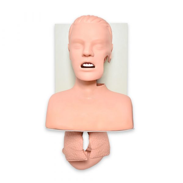 SIMULADOR AVANZADO PARA ENTRENAMIENTO DE INTUBACIÓN DE LAS VÍAS AÉREAS