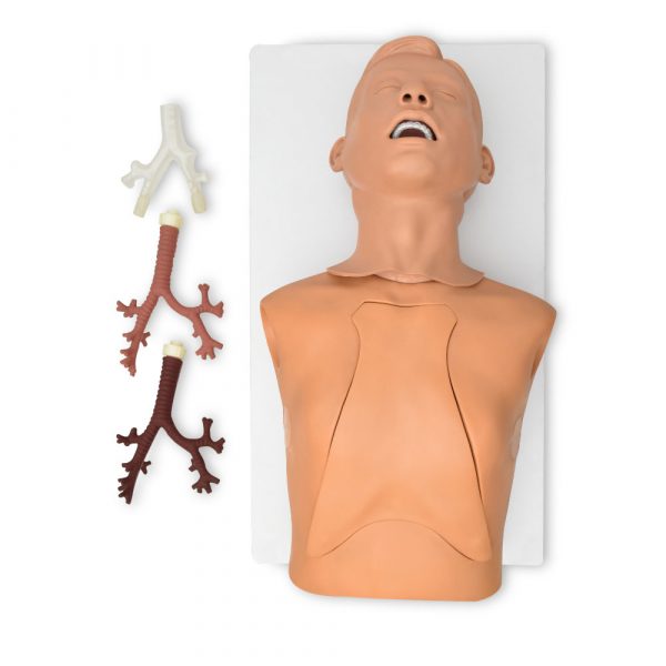 SIMULADOR PARA INTROSCOPÍA DE BRONQUIOS