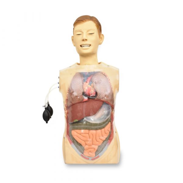 SIMULADOR ENTRENAMIENTO TRANSPARENTE