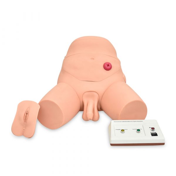 SIMULADOR ELECTRÓNICO PARA ENTRENAMIENTO DE CATETERISMO Y ENEMA, BISEXUAL