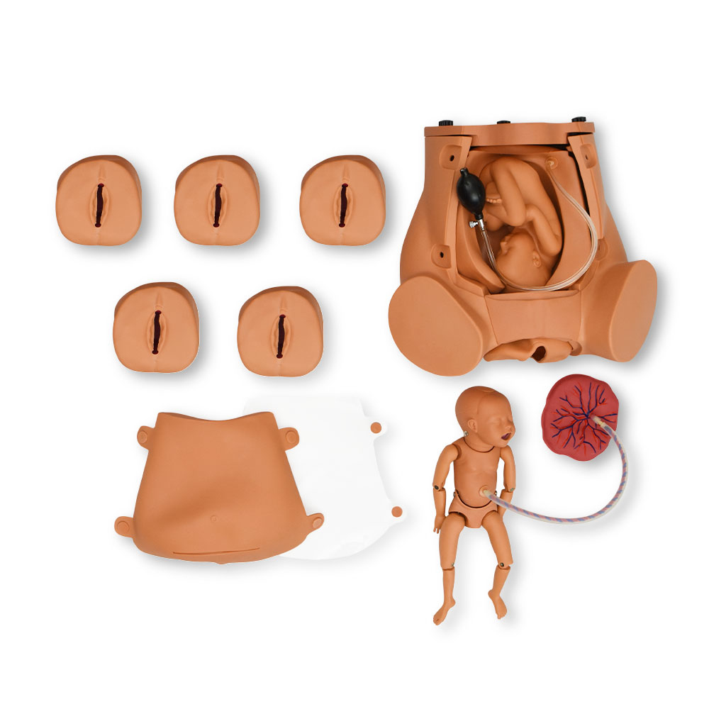 SIMULADOR PARA LA ADQUISICIÓN DE HABILIDADES DURANTE EL PARTO