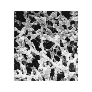 MEMBRANA FILTRANTE ESTERES MEZCLADOS DE CELULOSA 25MM 0.8UM HIDROFILA BLANCA SUPERFICIE LISA - MILLIPORE SKU: AAWP02500